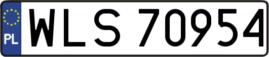 WLS70954