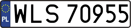 WLS70955
