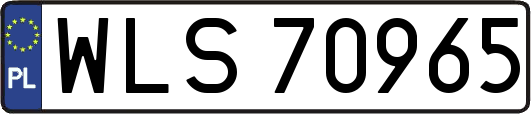 WLS70965