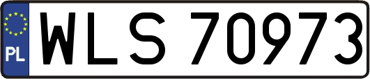 WLS70973