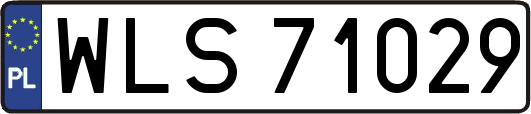 WLS71029