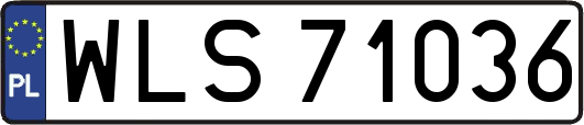 WLS71036