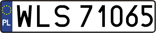 WLS71065