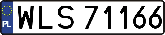 WLS71166
