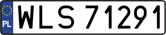 WLS71291