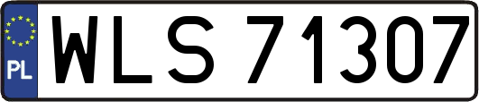 WLS71307