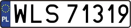 WLS71319