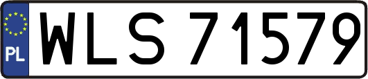 WLS71579