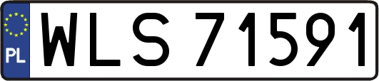 WLS71591
