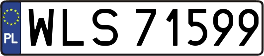 WLS71599