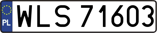WLS71603