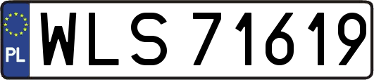 WLS71619