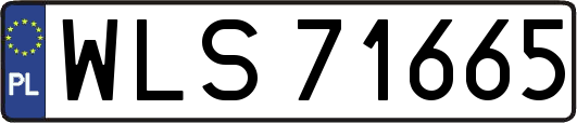 WLS71665