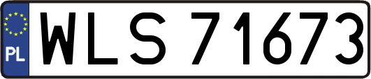 WLS71673