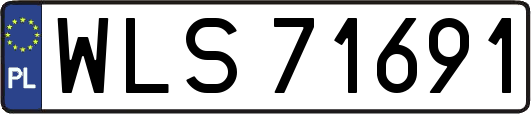 WLS71691