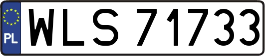 WLS71733