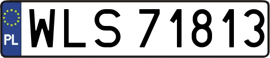 WLS71813