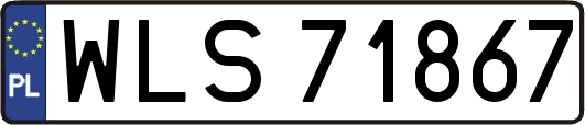 WLS71867