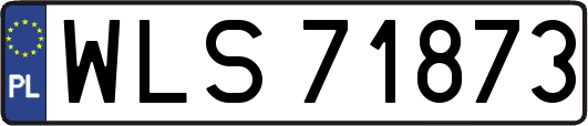 WLS71873