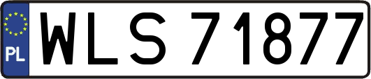 WLS71877