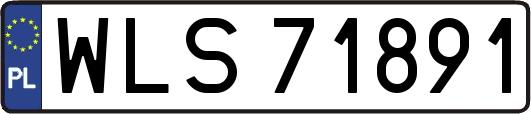 WLS71891