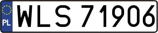 WLS71906