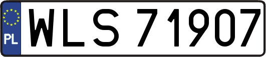 WLS71907