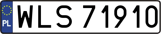 WLS71910