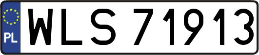 WLS71913