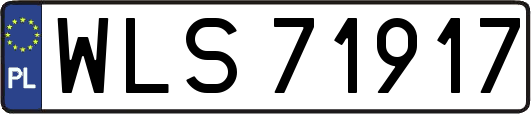 WLS71917