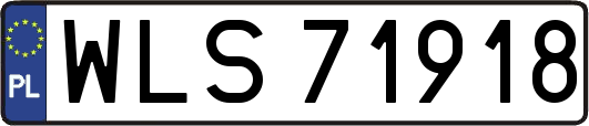 WLS71918