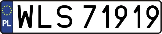 WLS71919