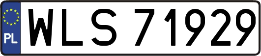 WLS71929