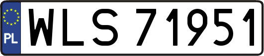 WLS71951
