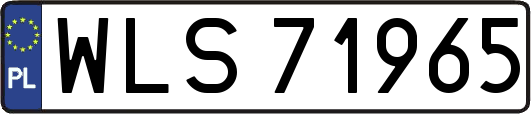 WLS71965