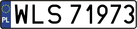 WLS71973