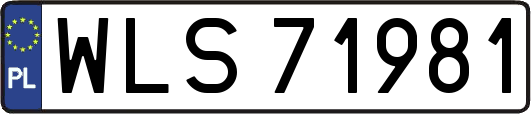 WLS71981