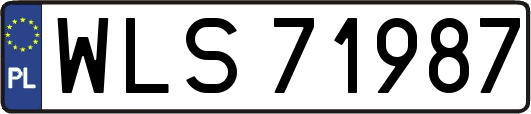 WLS71987