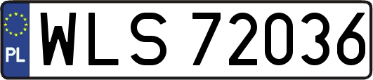 WLS72036