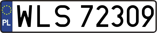 WLS72309