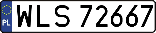 WLS72667