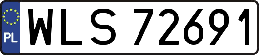 WLS72691