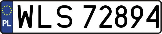 WLS72894