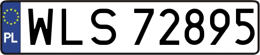 WLS72895