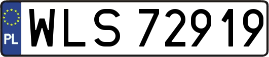 WLS72919