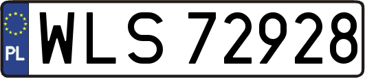 WLS72928