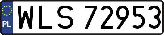 WLS72953