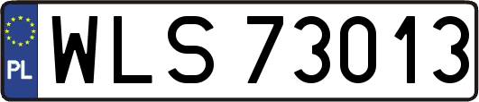WLS73013