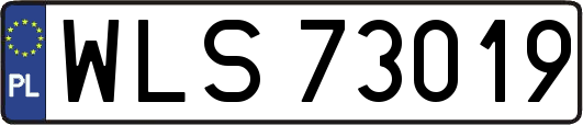 WLS73019