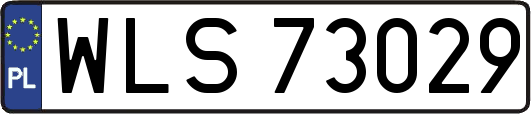 WLS73029
